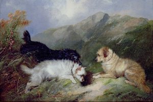 Rabrier Rabbiting